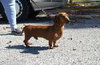 BUDDY...IN