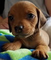 Buffy.....KY