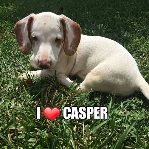 Casper....AL