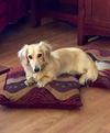 Monty.....MD