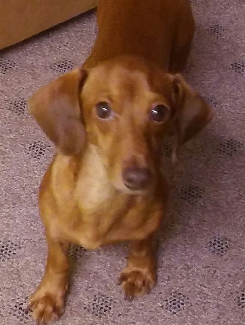 Jules aka Julee....NC