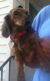 Ruthie ......SC