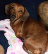 John Boy AKA Buster.....MD