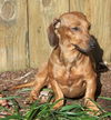 John Boy AKA Buster.....MD