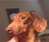 Mollie #3.....NY