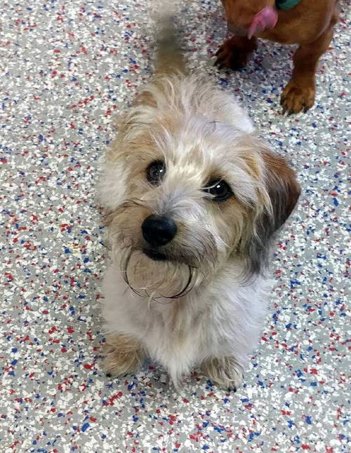 Tucker in MO