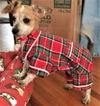 Toby #13 in SC (Dachshund/Chihuahua mix)