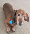 Oscar in NC