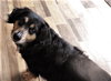 Buddy #19 in NY