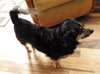 Buddy #19 in NY
