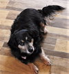 Buddy #19 in NY
