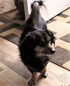 Buddy #19 in NY