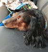 Murphy #4 in GA