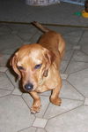 JULIETTE...CA