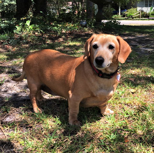 Todd in MD