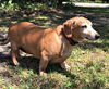 Todd in MD