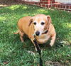 Todd in MD