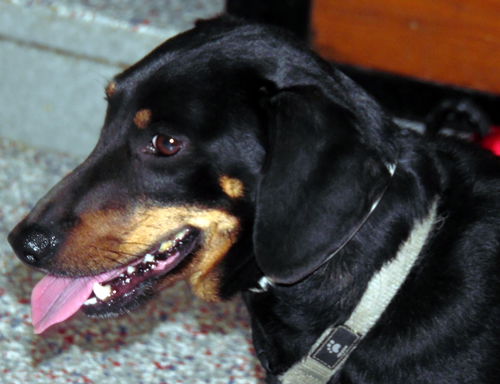 Tucker in AR