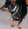 Tucker in AR