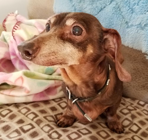 Toby in VA