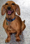Otis in AL