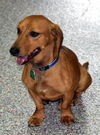 Otis in AL