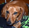 Otis in AL