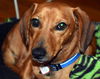 Otis in AL