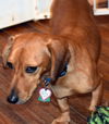 Otis in AL