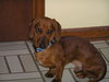 Buddy...Canada