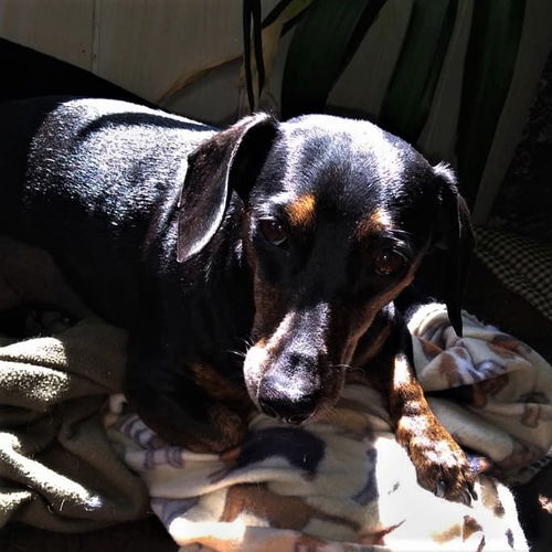 Molly in LA