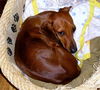 Ruby2.....IL