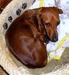 Ruby2.....IL