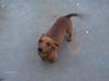 Rusty.....VA