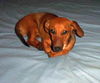 RUSTY2...AL