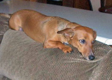 RUSTY2...AL