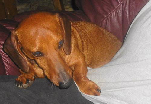 RUSTY3....MO