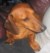 RUSTY3....MO