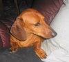 RUSTY3....MO