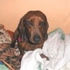 SKYLAR...AL