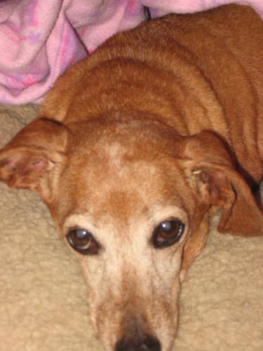SOPHIE....WV