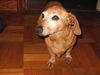 SOPHIE....WV
