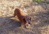 TINY2.......IL