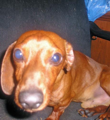 TOBY3..TN