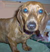 TOVEN(VINNIE)...LA