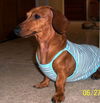 TRIXIE.......SC
