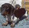 TUCKER...VA
