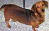 Molly in VA