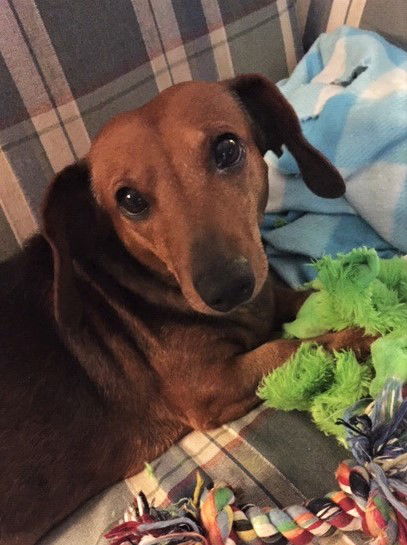 Molly in VA