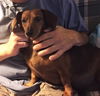 Molly in VA